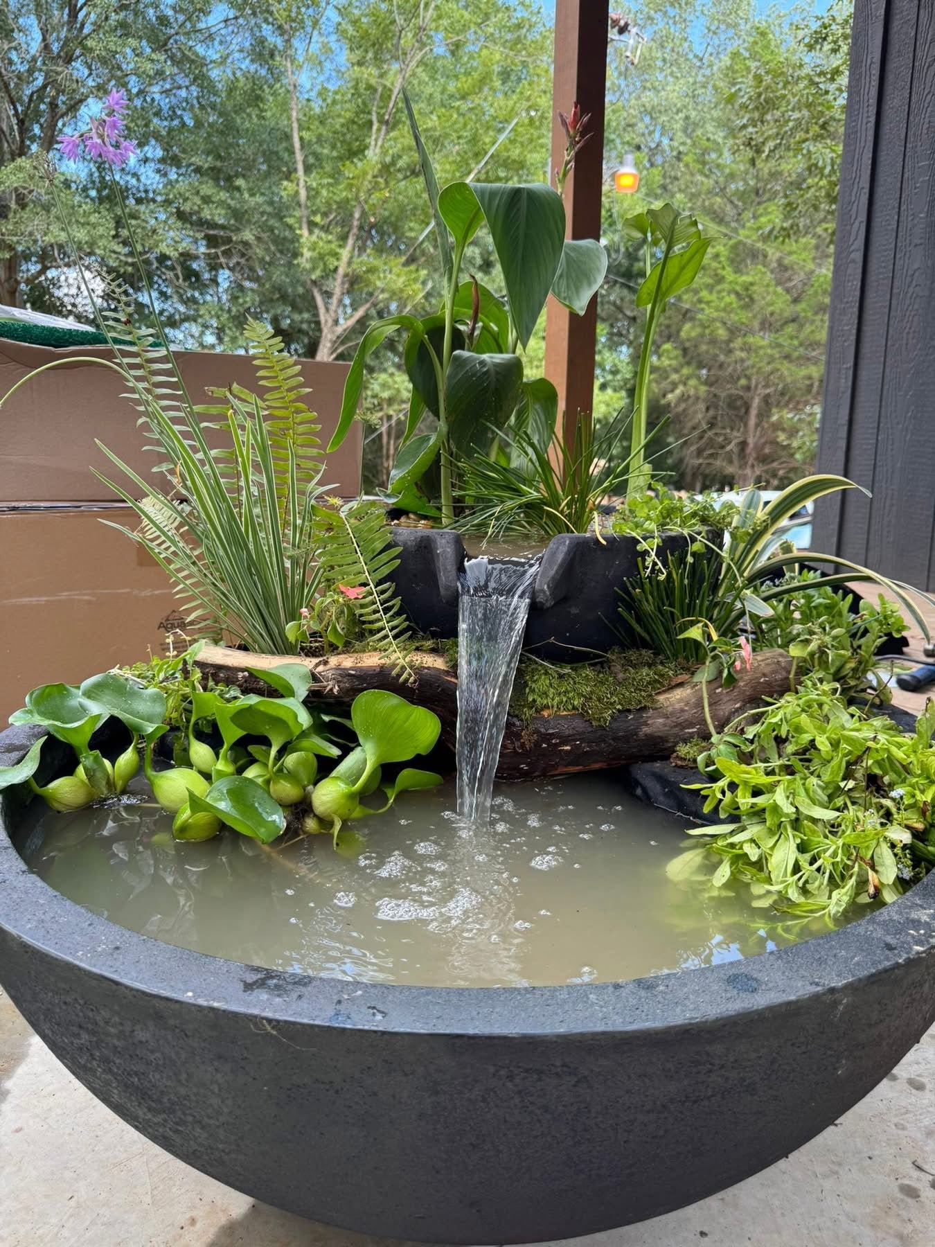 152cm Fountain Bowl with 81cm Fountain Bowl & Filtration Kit