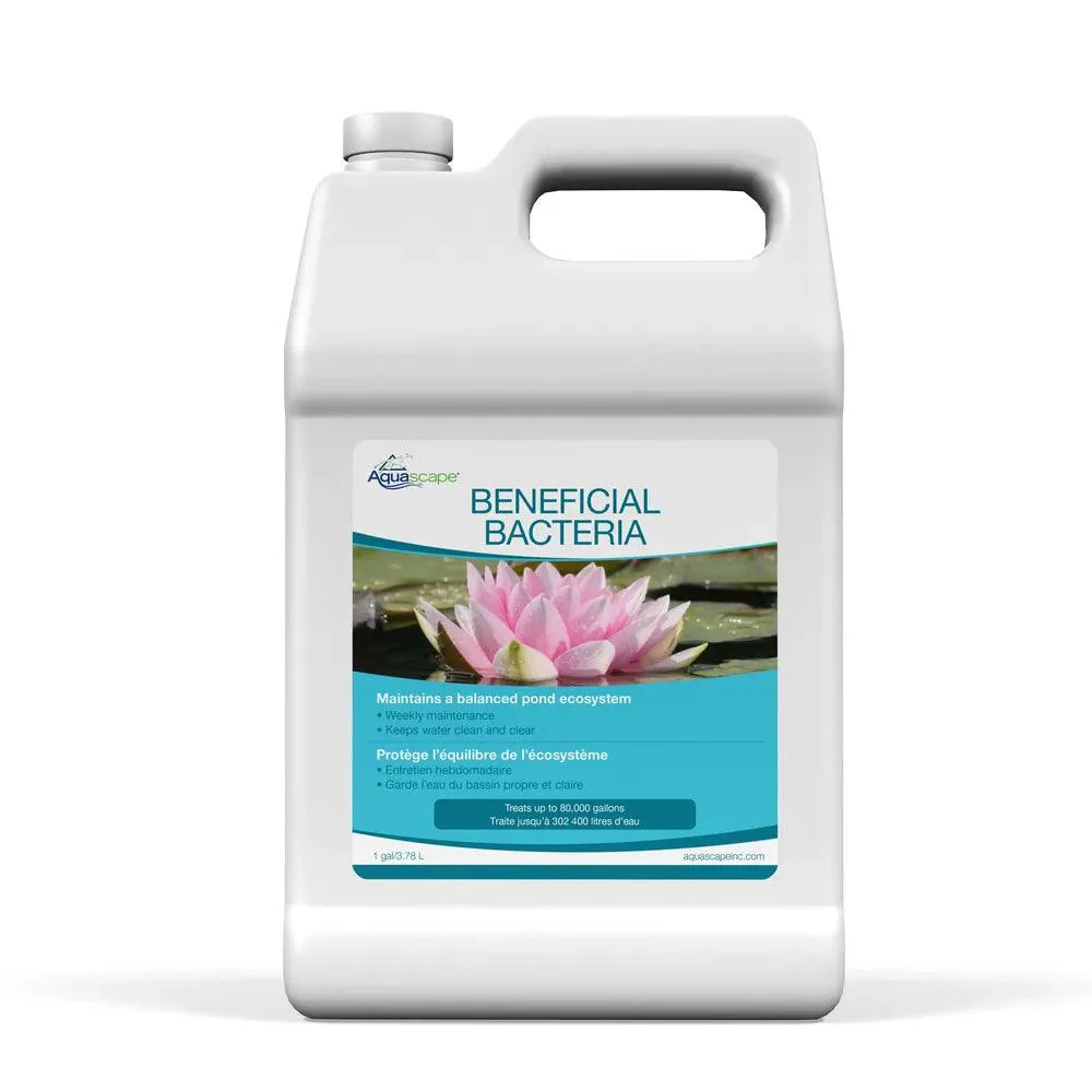 Beneficial Bacteria - Image 3