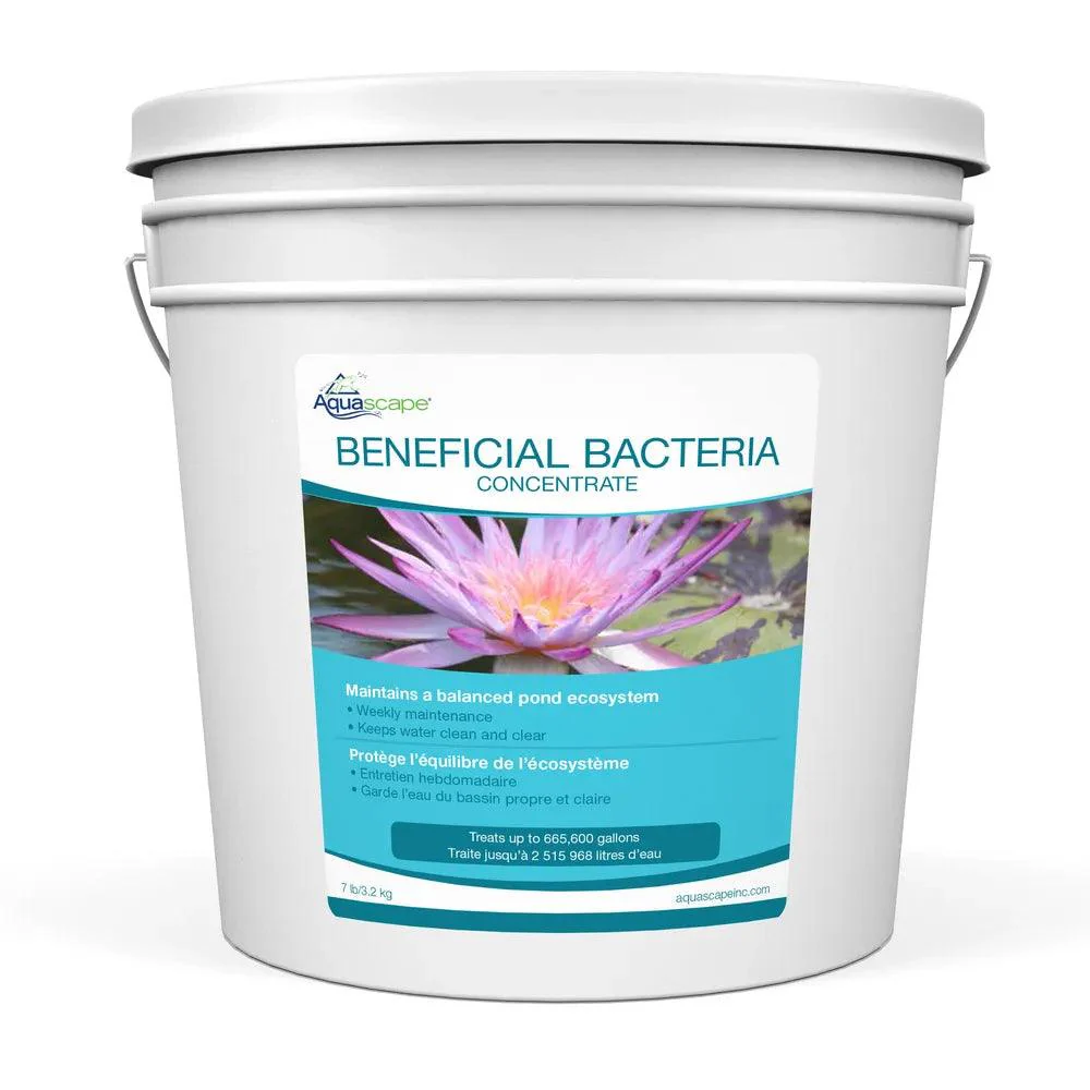Beneficial Bacteria Concentrate - Image 3