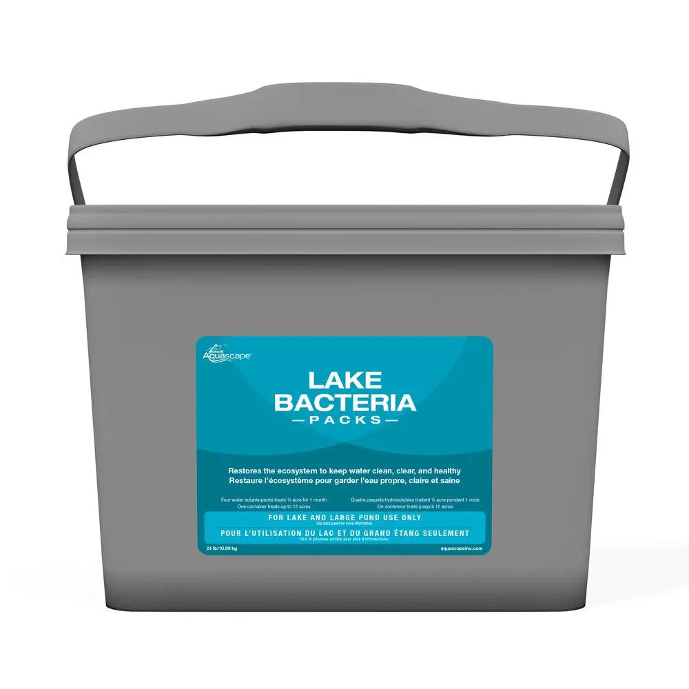 Lake Bacteria - Image 3