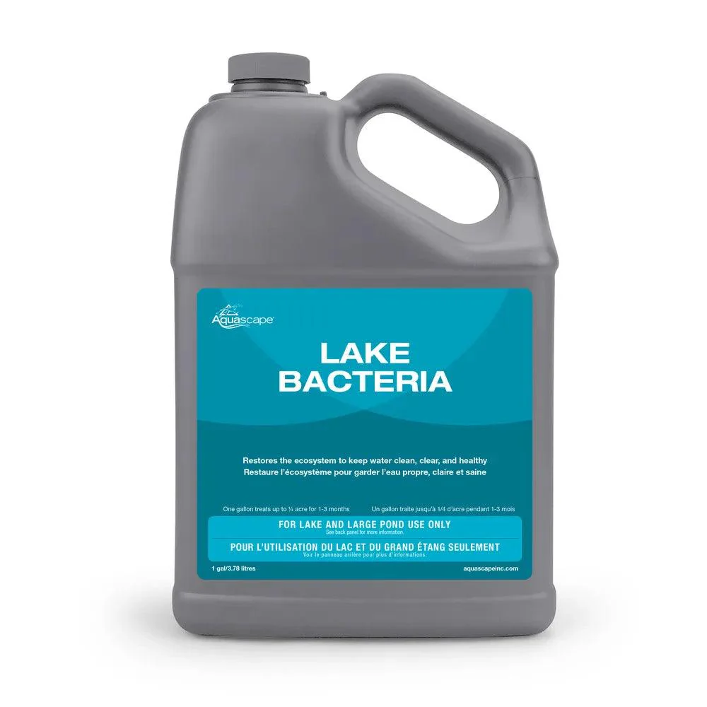 Lake Bacteria - Image 4