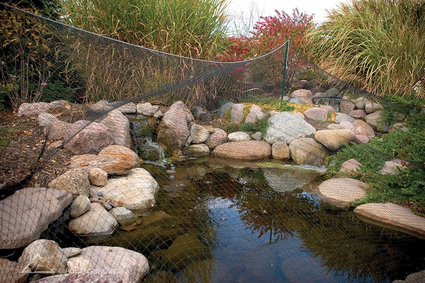 Protective Pond Netting - Image 6